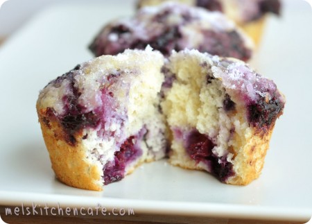 Blueberry Muffins