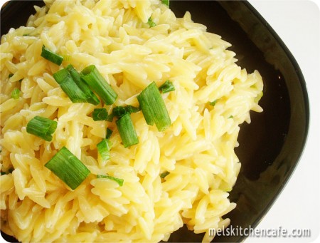 Side View 1 JPG Rounded Corners with tag Orzo Pilaf