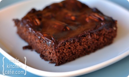 Mississippi Mud Cake