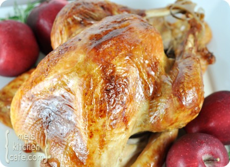 Top View BLOG Roasted Turkey
