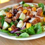 Romaine Salad with Chicken, Cheddar, Apples, Spiced Pecans and Cranberry Vinaigrette