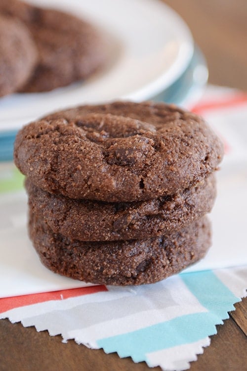 Double Chocolate Greek Yogurt Cookies