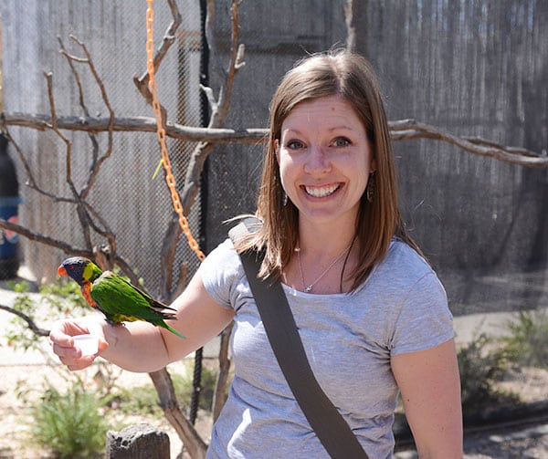 A woman holding a colorful parrot on her arm.