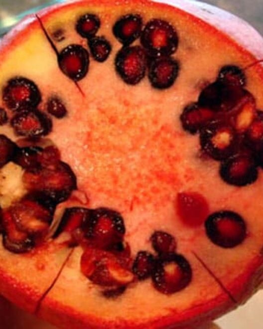 Mel's Kitchen Cafe Page 349 of 349 Delicious + easy recipes from my