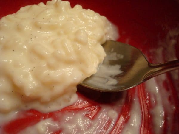 rice pudding and a spoon in a red bowl