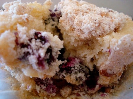 DSC01325 copy a blueberry muffin split in half