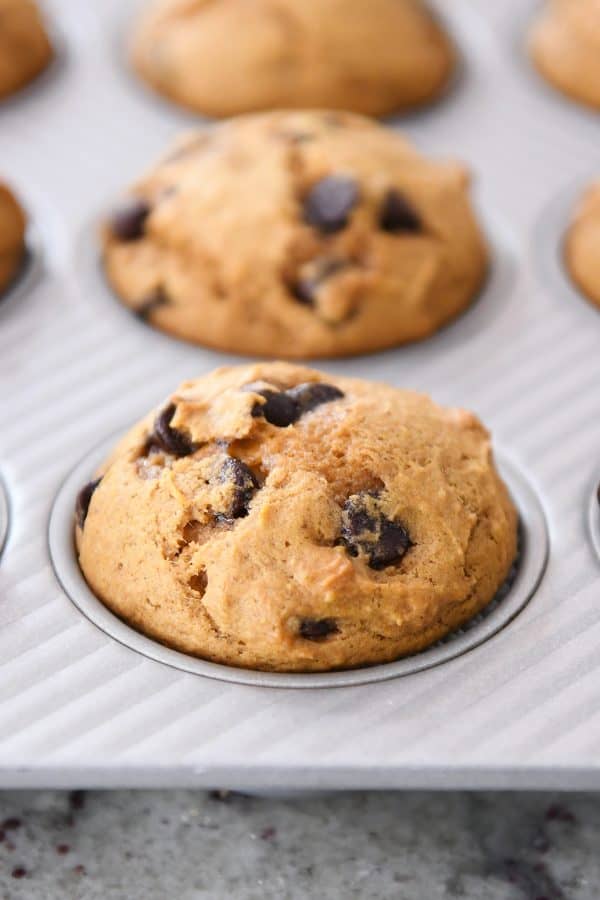 Pumpkin chocolate chip muffin in muffin tin.