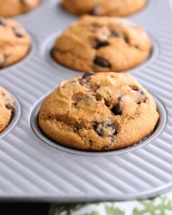 pumpkin chocolate chip muffin in muffin tin