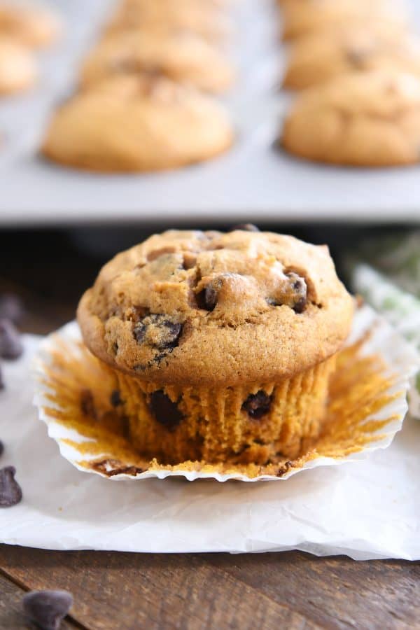 Pumpkin chocolate chip muffin with liner pulled down.