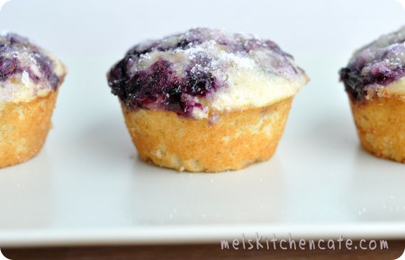 blueberry muffins on a white plate