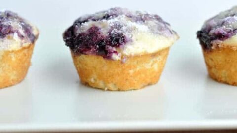 Healthy Yogurt Oat Blueberry Muffins Or Chocolate Chips Mel S Kitchen Cafe