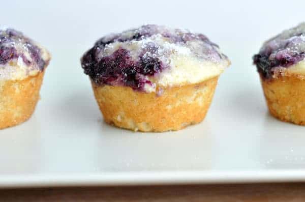 Blueberry muffin on a white plate.