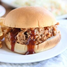 BBQ pork sandwich on bun on white plate