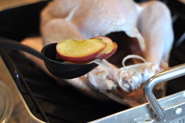 a spoon about to put aromatics in the cavity of a turkey