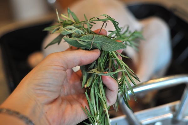 a handful of herbs about to be put in the cavity of a raw turkey