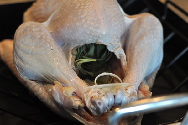 a raw turkey in a roasting pan stuffed with herbs