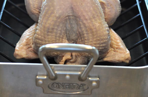 raw turkey with wings tucked in on a roasting pan