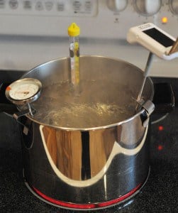 https://www.melskitchencafe.com/wp-content/uploads/2010/12/All-Therm-Boiling-Water-251x300.jpg