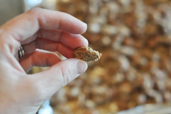 a hand holding a candy coated almond in their fingers above a sheet of candy coated almonds