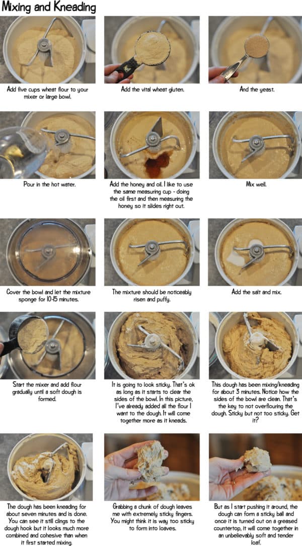 Collage of step-by-step photos of whole wheat bread dough mixing and kneading in a Bosch.