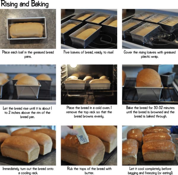 Step-by-step photos of bread dough rising and baking.