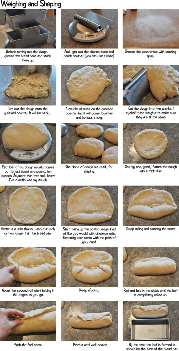 Step-by-step photos of weighing and shaping bread dough.