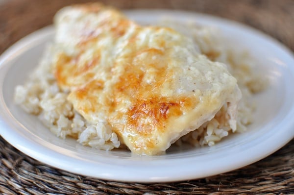 Cooked chicken breast with melted cheese over cooked brown rice.