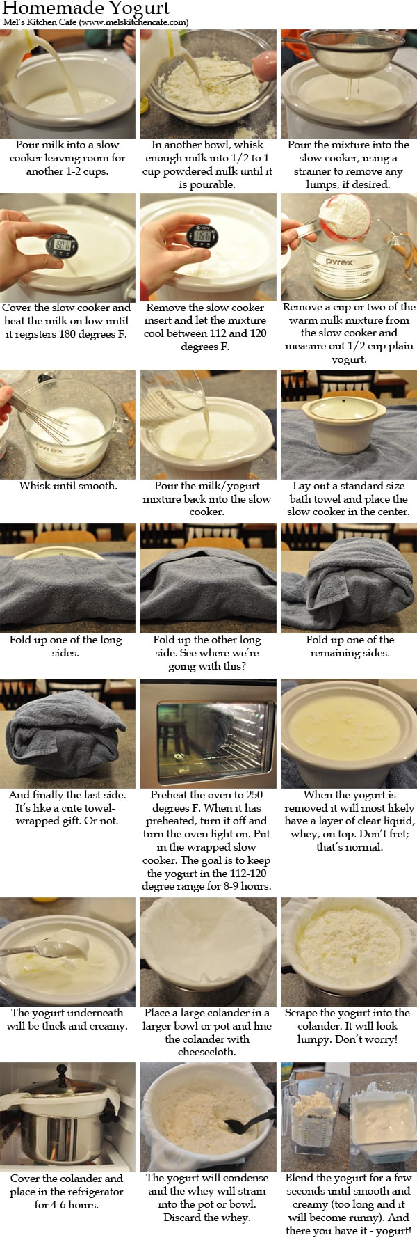 DIY Homemade Yogurt DIY Homemade Yogurt
