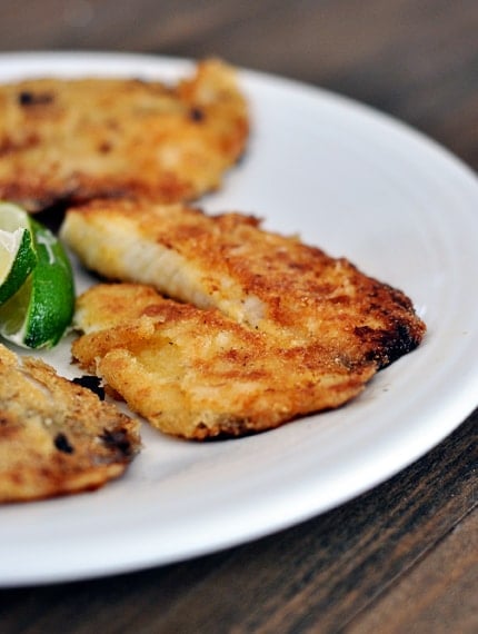 Baked tilapia fillets on a white plate, with lime slices in the middle of the plate. 