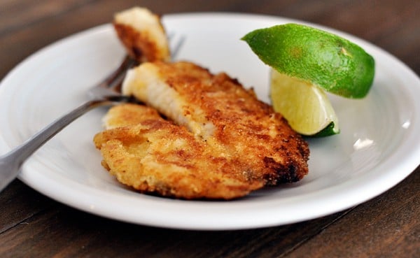 A baked tilapia fillet on a white plate, with lime slices on the side. 