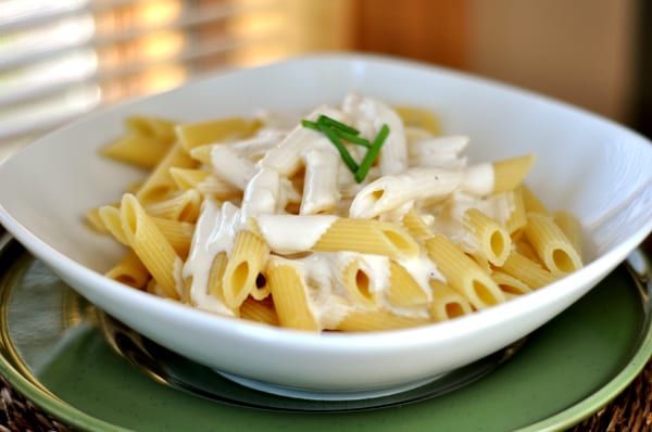 white bowl of pasta with alfredo sauce drizzled on top