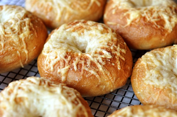 Cheese-topped bagels on a cooling rack.