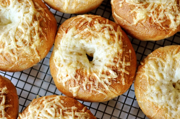 Top down view of cheese-topped bagels on a cooling rack.