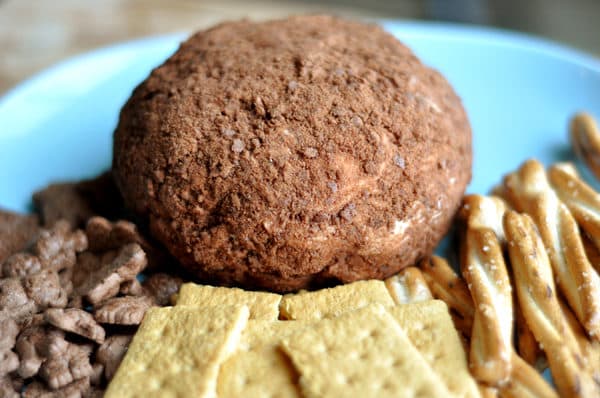 Cocoa dusted chocolate chip cheeseball with graham crackers and pretzels around the side of the plate.