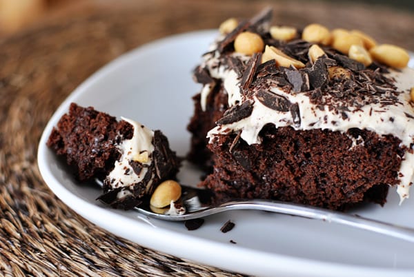 a piece of chocolate cake topped with whipped frosting, chocolate pieces, and peanuts, on a plate with a bite taken out with a fork