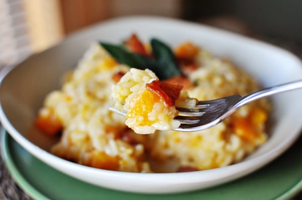 White bowl of cooked butternut squash risotto, with a fork holding a bit of the risotto over the bowl.