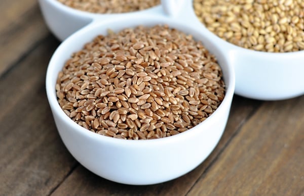 a white bowl full of red wheat kernels