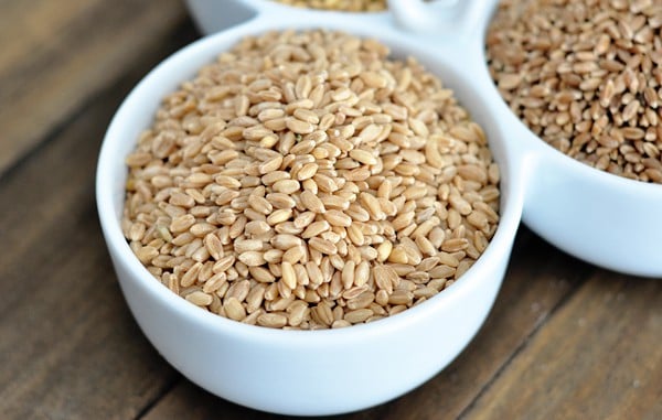 a white bowl full of white wheat kernels