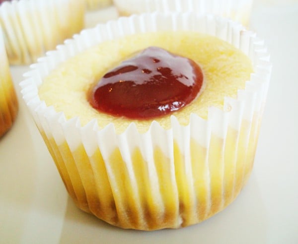 Xheesecake in white muffin liner with dollop of raspberry in center.