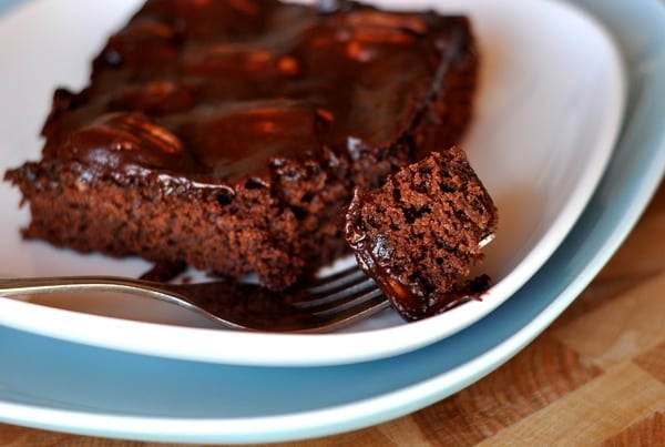 Slice of chocolate mud cake on a white plate with a fork taking a bite out.