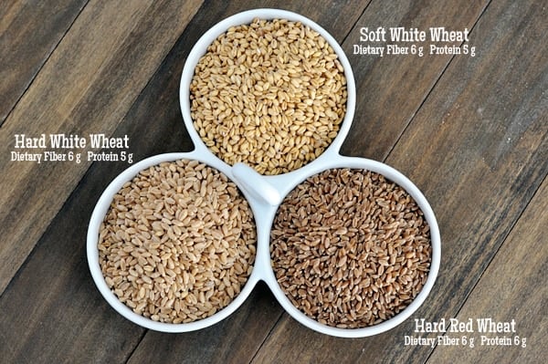 top view of three bowls full of different wheat kernels
