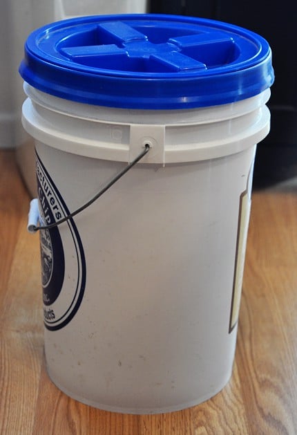 a 5 gallon bucket with a blue lid