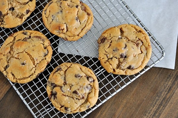 Top view of salted chocolate chip cookies on a cooling rack.