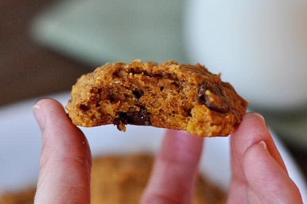 Triple Chip Pumpkin Oatsies