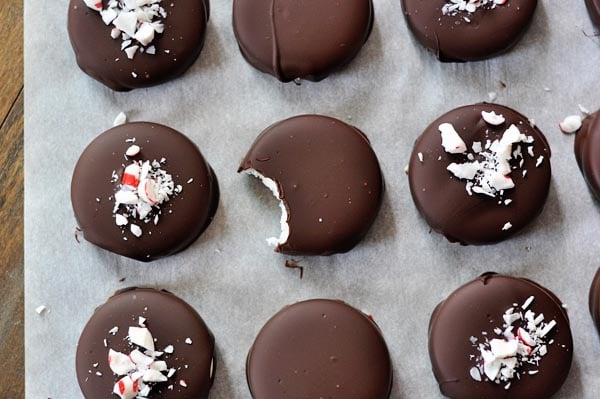 Chocolate-dipped homemade mint patties, with crushed candy canes on top, and one patty in the middle with a bite taken out.