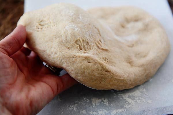 Hand holding an uncooked round of whole wheat pizza dough.