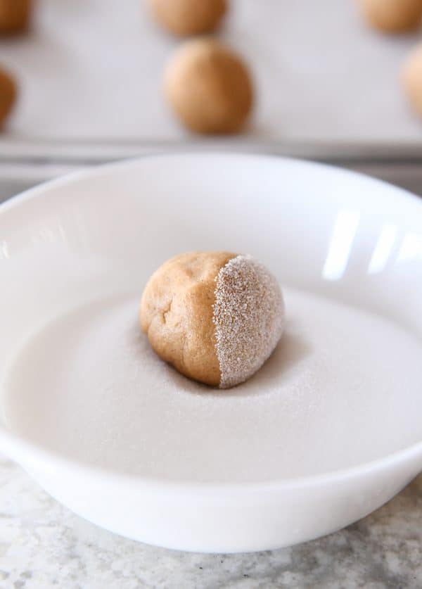 Rolling soft and chewy ginger molasses cookie dough in sugar.