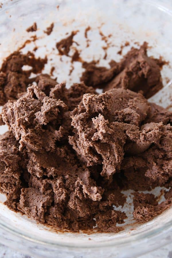 Bowl of chocolate cookie dough.