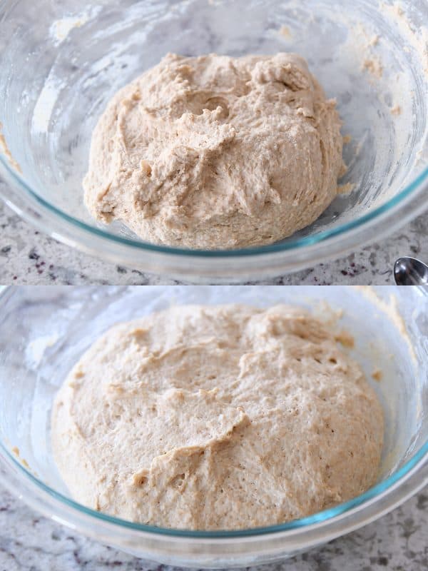 risen and unrisen easy homemade english muffin dough in glass bowl