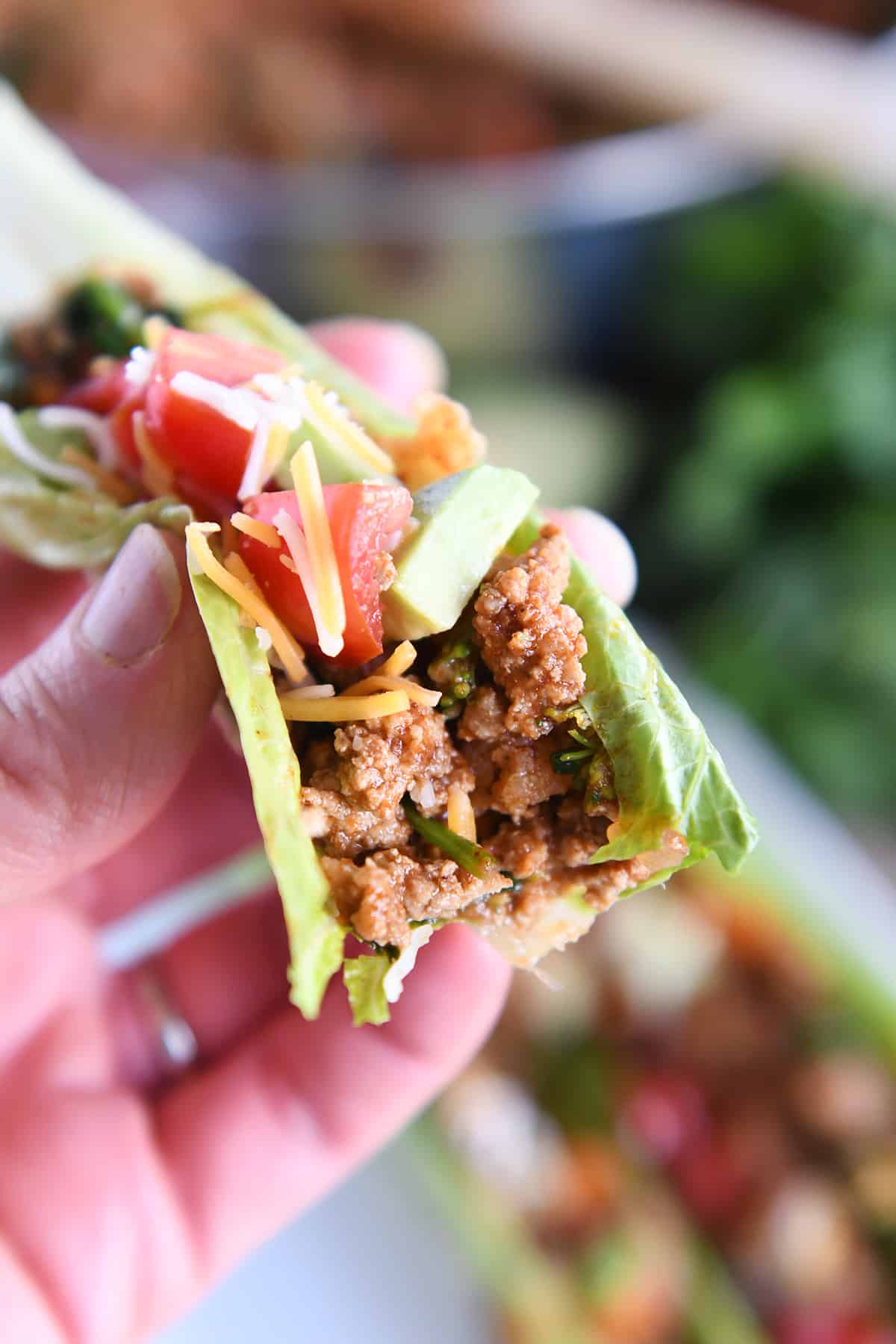 Veggie Turkey Taco Lettuce Wraps Mel's Kitchen Cafe